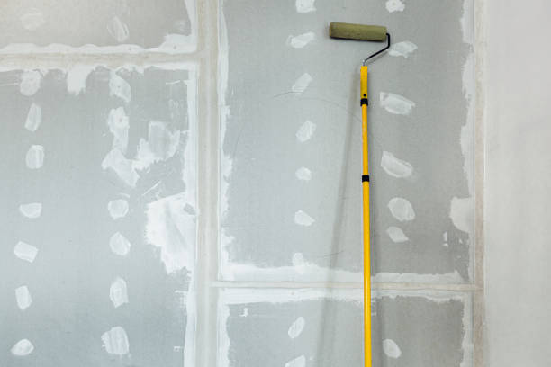 Best Post-Construction Mold Inspection  in Doolittle, TX