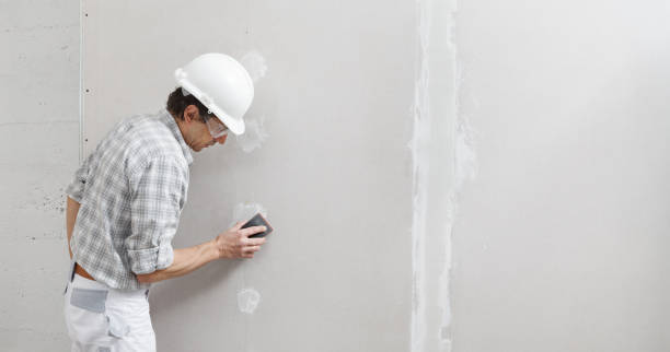 Best Mold Documentation for Insurance Claims  in Doolittle, TX