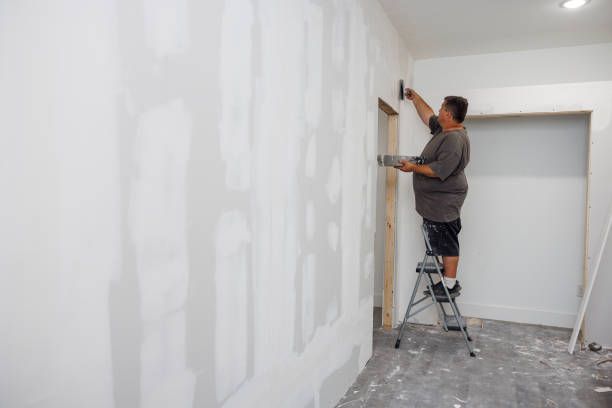 Best Forensic Mold Investigation  in Doolittle, TX