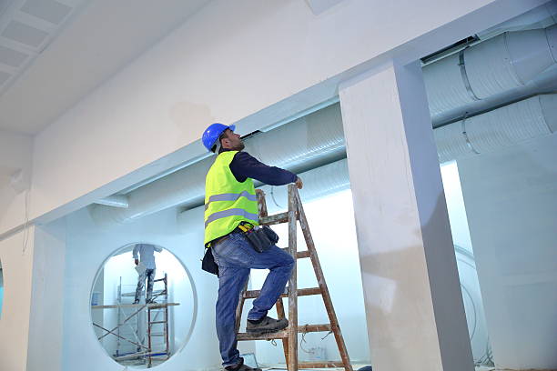 Best Mold Damage Restoration  in Doolittle, TX
