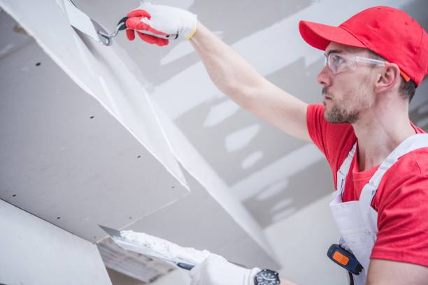 Best Emergency Mold Remediation  in Doolittle, TX